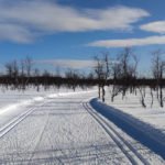 Lapland hiihto - Lapland ski