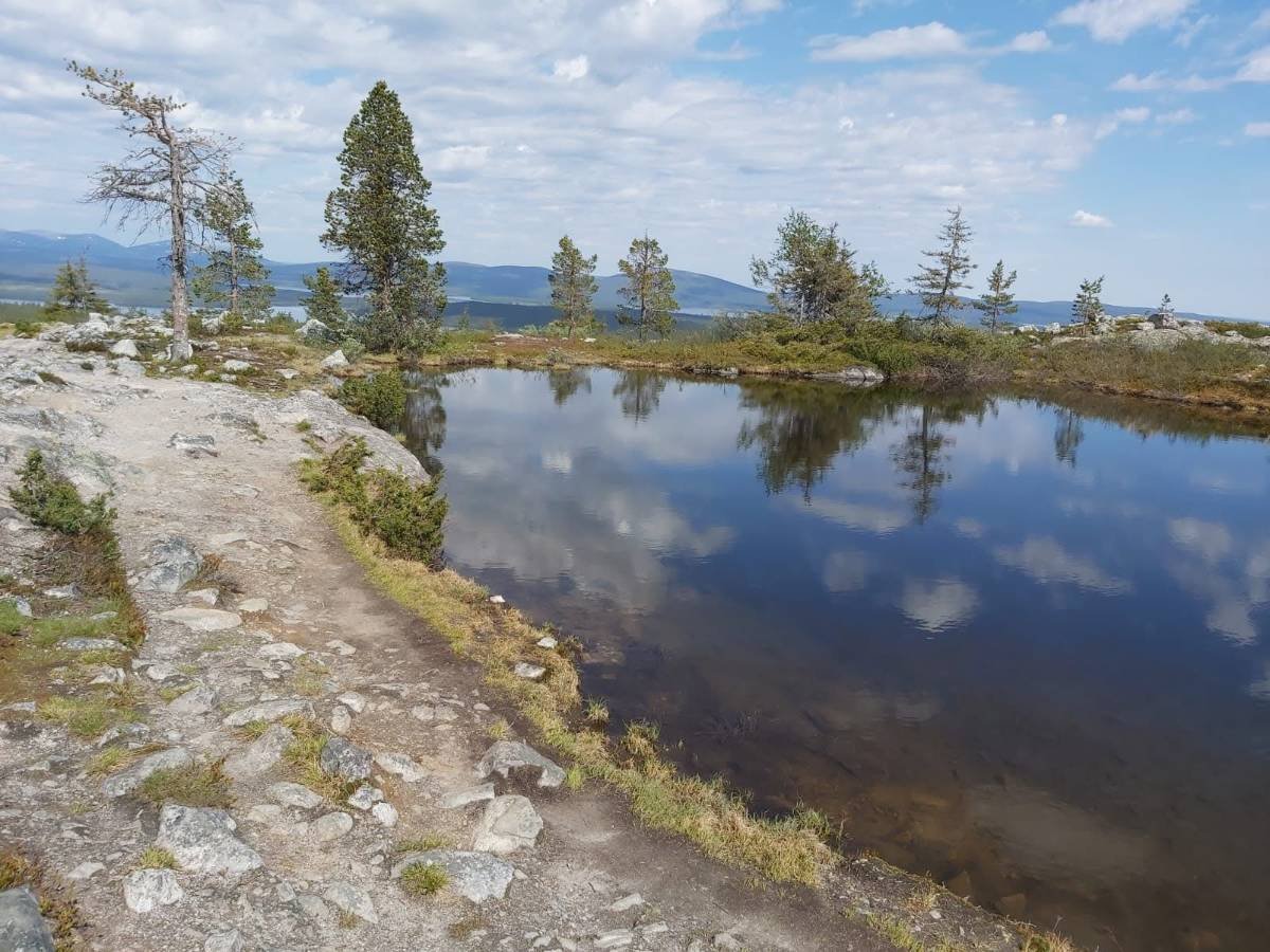You are currently viewing Daytrip to Särkijärvi fell 18.6.2020