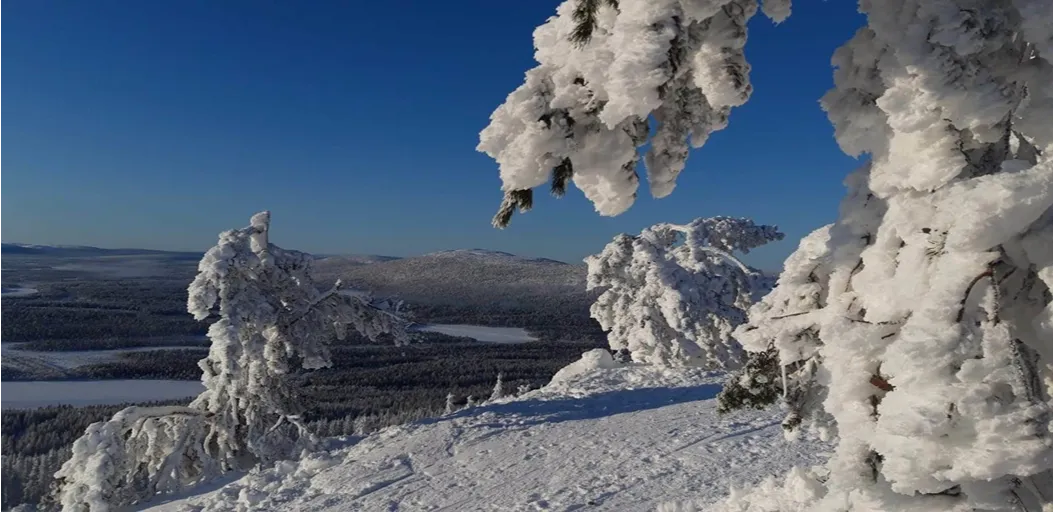 Snow-covered trees on a Levi fell in winter