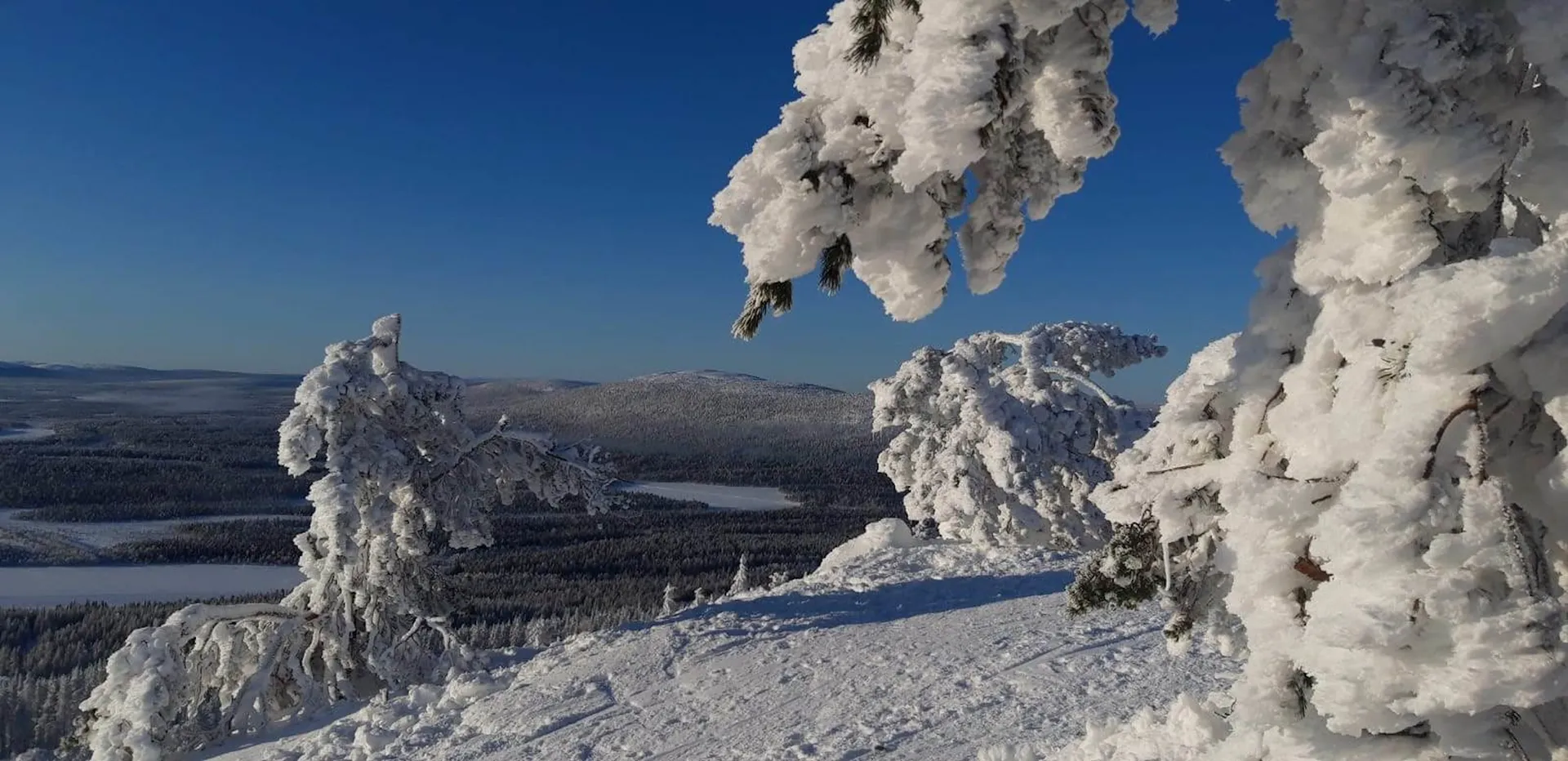 View from a Levi fell over frozen forest and lakes, with snow-covered pines under a clear blue sky