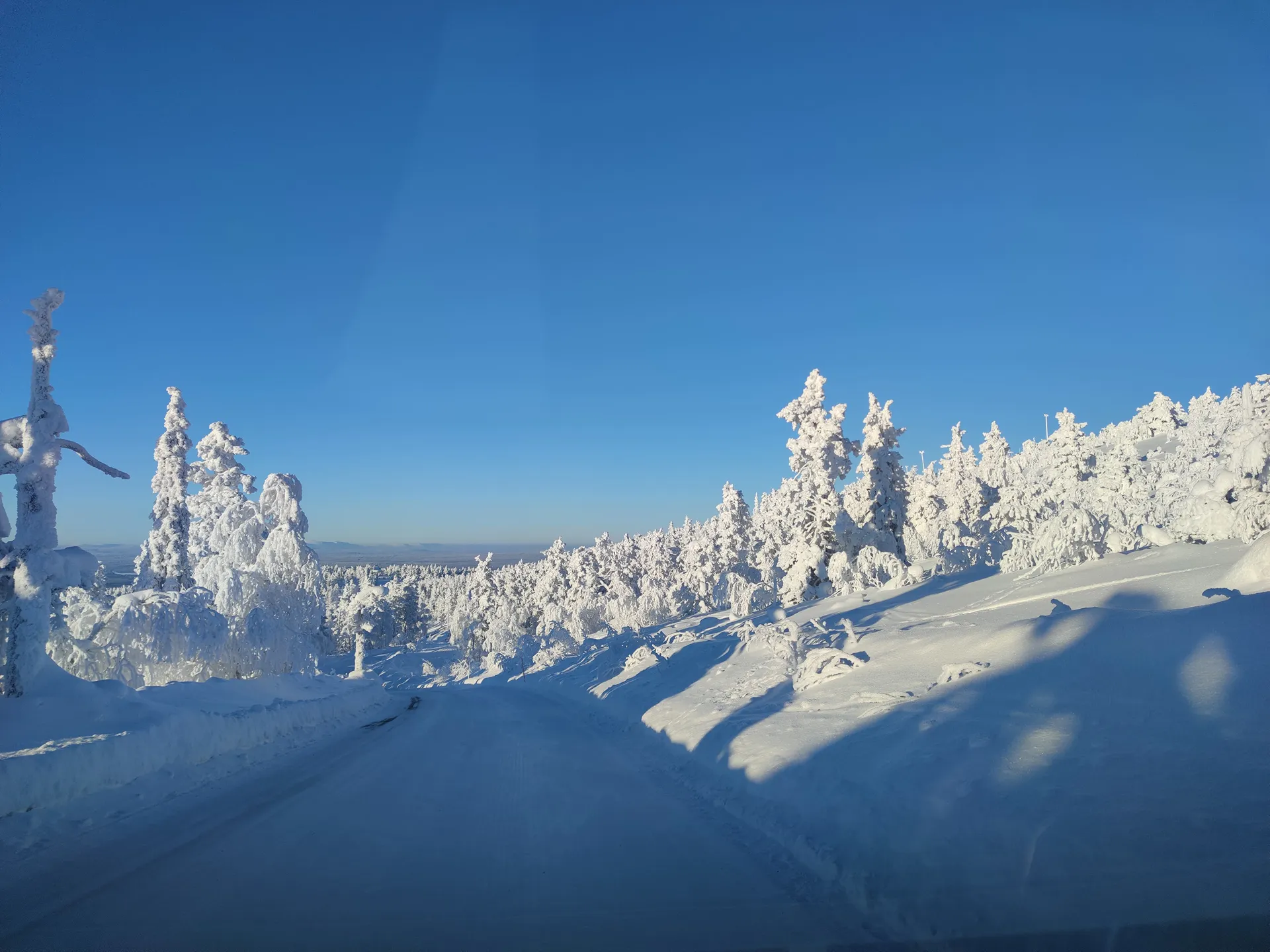 Snowy road through frost-covered trees under a clear blue sky in Levi, Finnish Lapland