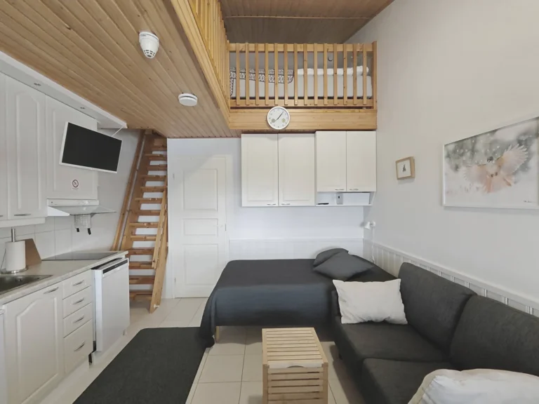 Leviloma 27 m² C – Levi Apartment with Sauna