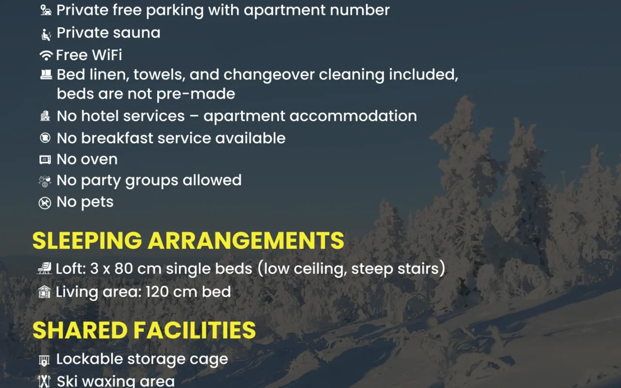 Good to know sheet for the 27 m² split-level studio in Levi: 2nd floor, spiral staircase, loft with steep stairs, private sauna, free parking, no pets